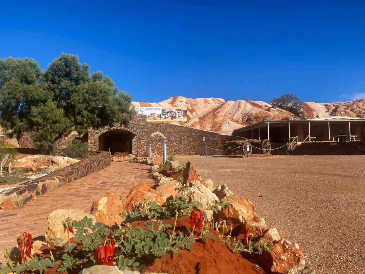 Ali'S Underground Studio Coober Pedy Extérieur photo